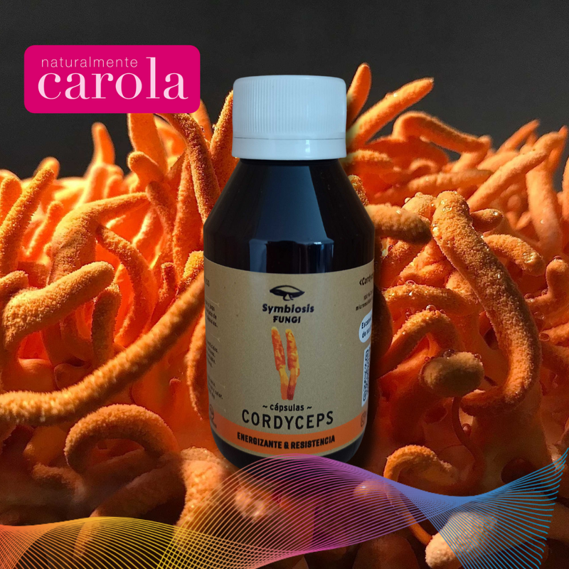CORDYCEPS HONGOS MEDICINALES x60 capsulas.