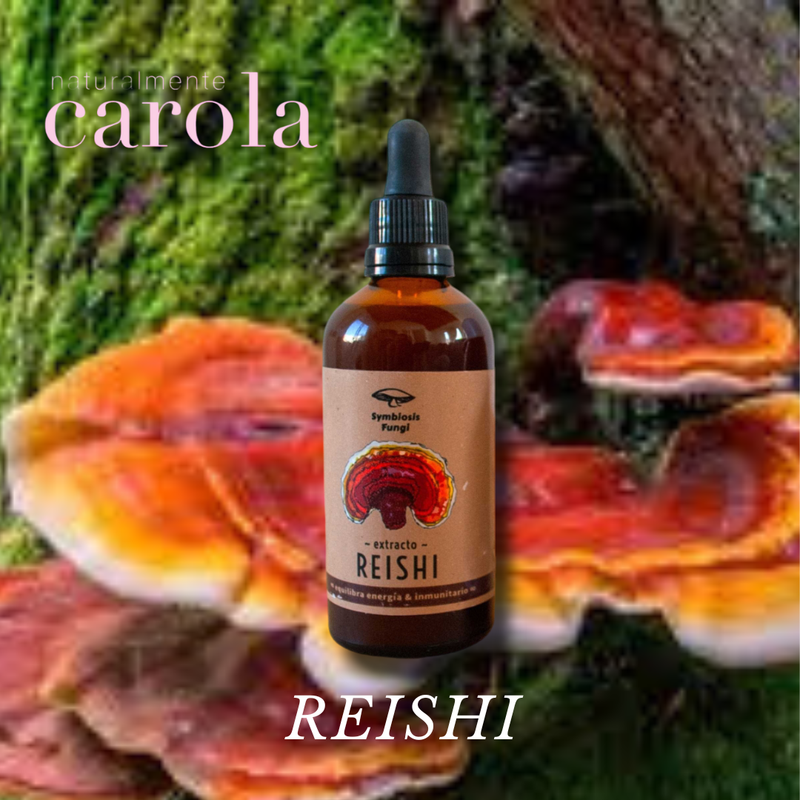 REISHI HONGO MEDICINAL GANODERMA LUCIDUM 100ml