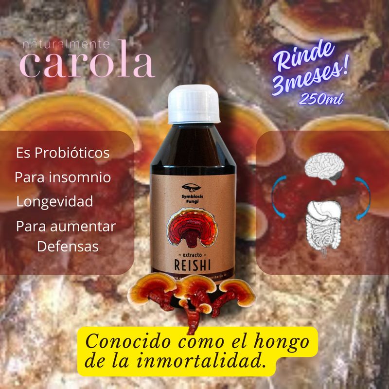 REISHI HONGO MEDICINALES TRIPLE EXTRACTO 250ml.
