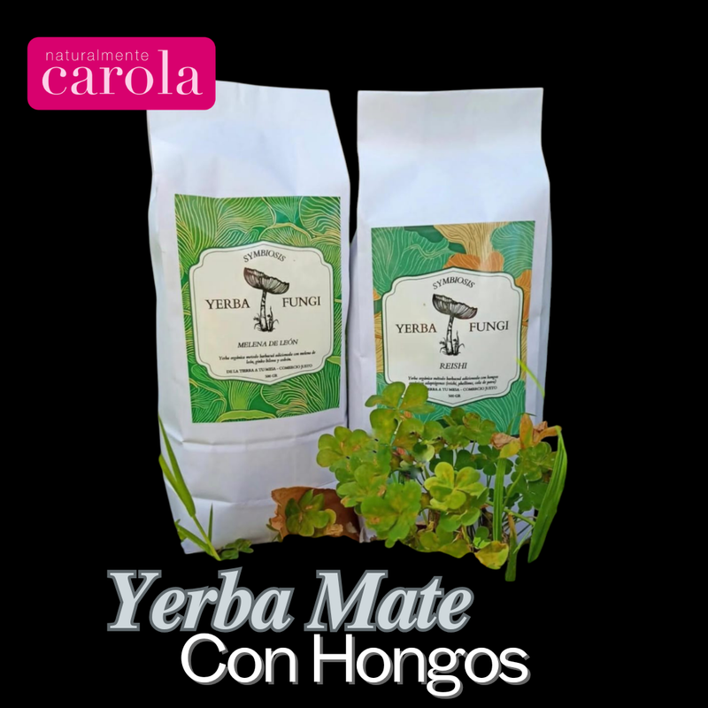 YERBA MATE COGNITIVA 500gr. MELENA DE LEON GINKGO Y HIERBAS