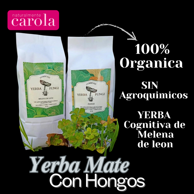 YERBA MATE INMUNITARIA 500gr. REISHI, inmunitaria 500 gr