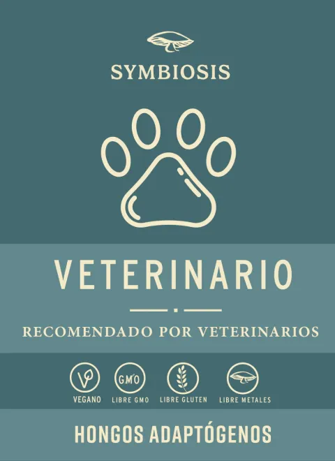 BLEND DE HONGOS PARA PERROS Y GATOS