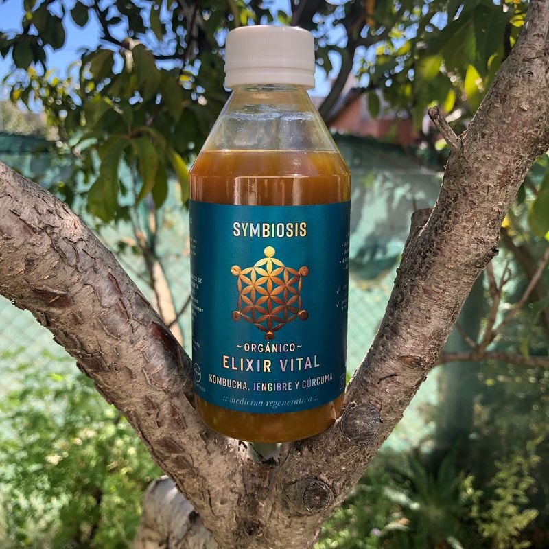 Elixir Vital Kombucha 250ml
