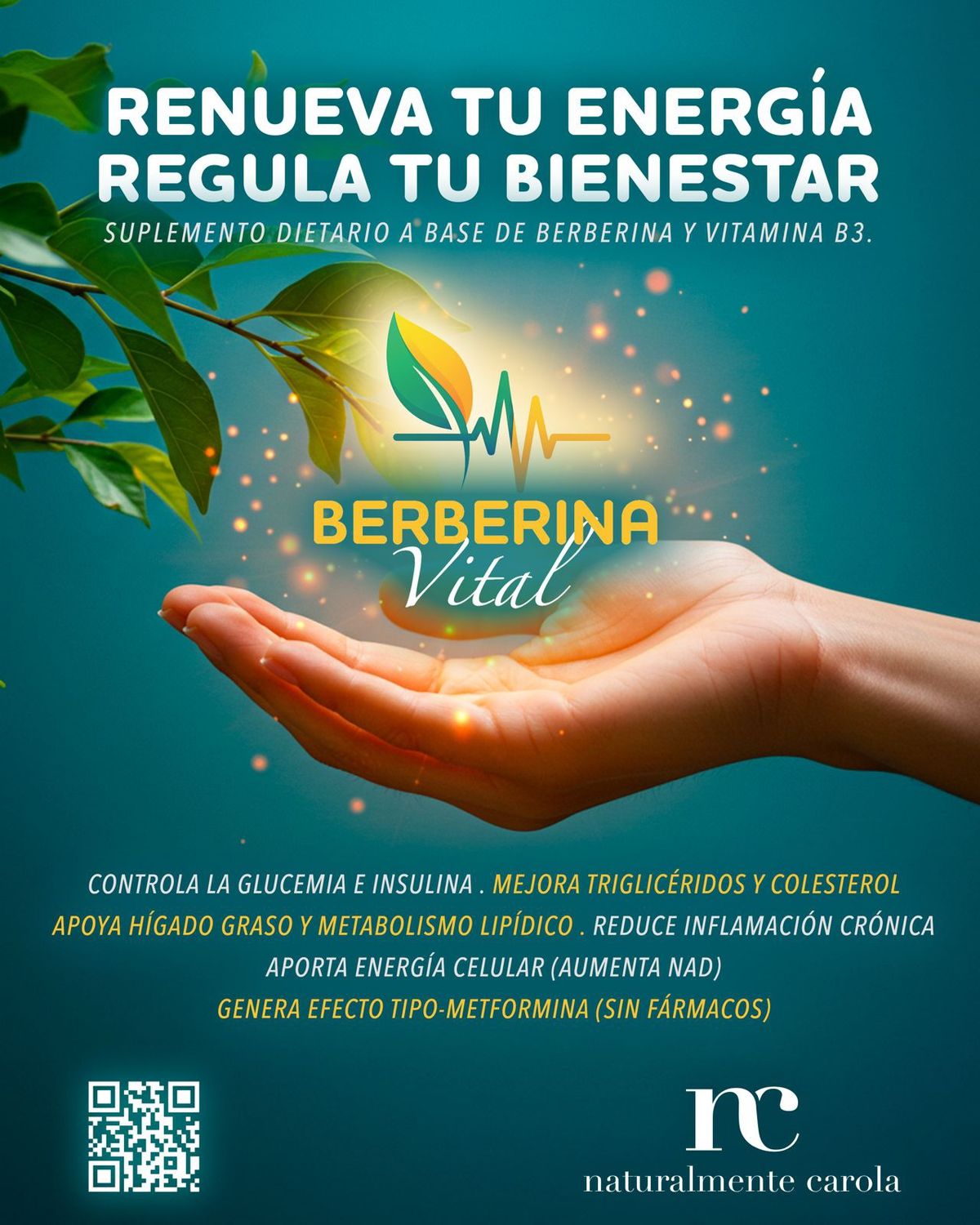 BERBERINA VITAL NATURALMENTECAROLA 