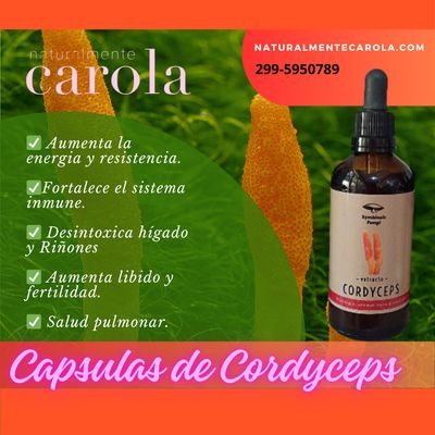 CORDYCEPS. HONGO MEDICINALES DOBLE EXTRACTO.