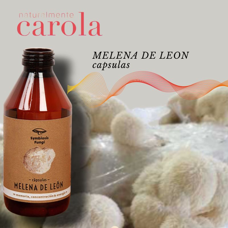 MELENA DE LEON HONGO MEDICINAL X60 CAPSULA.