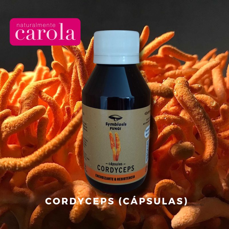 CORDYCEPS HONGOS MEDICINALES x60 capsulas.