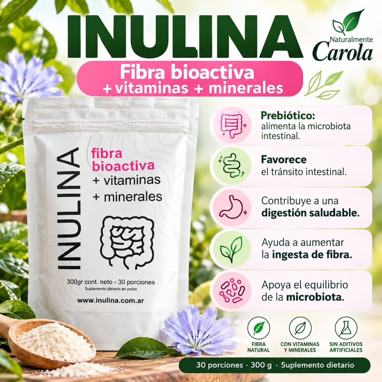 INULINA FIBRA PREBIÓTICA 