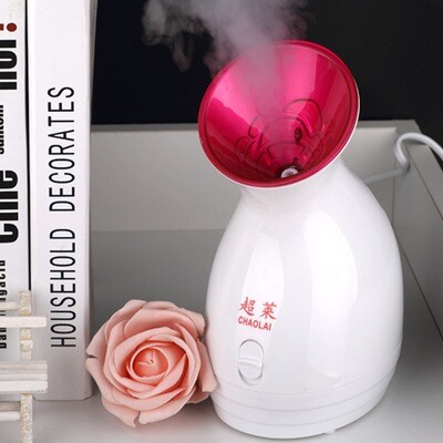 Face steamer