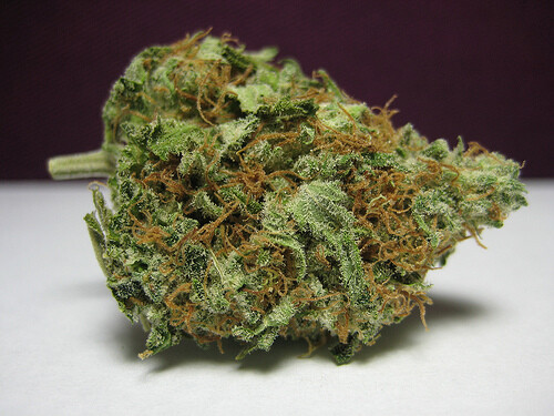 Jack Flash