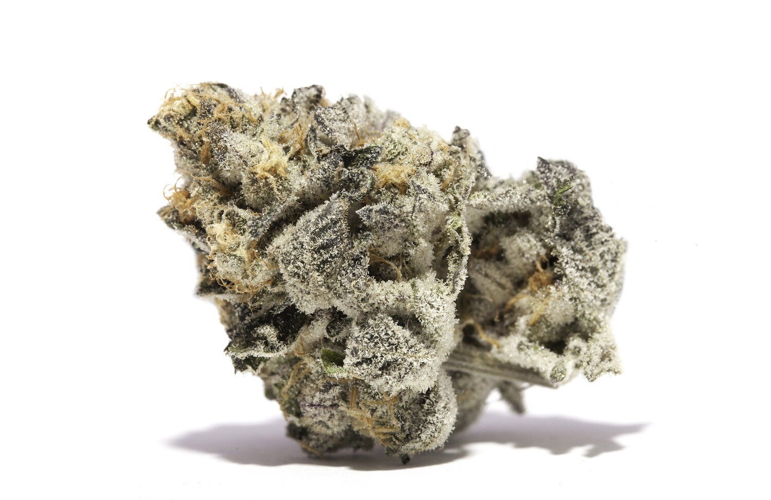 Girl Scout Cookies