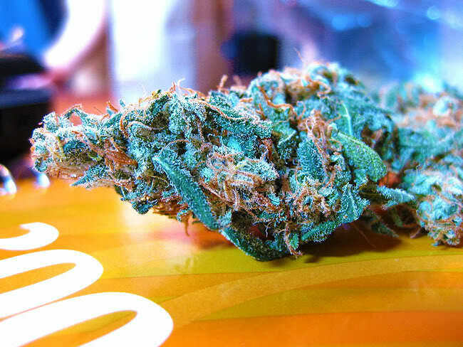 Blueberry