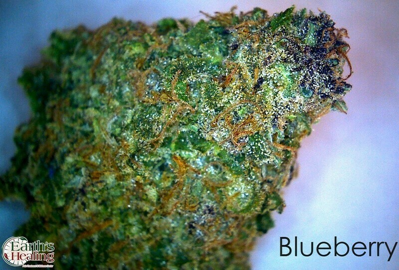 Blueberry