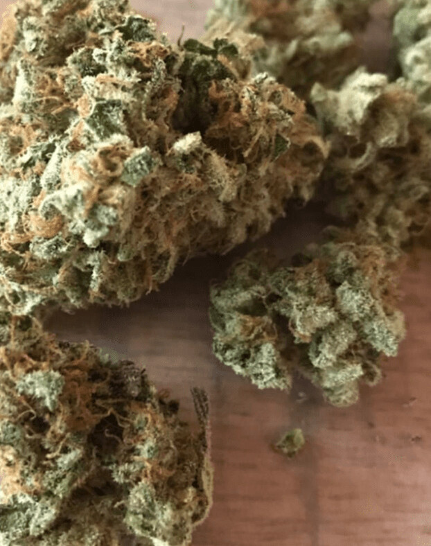 Blueberry