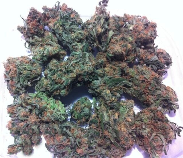Blue Dream