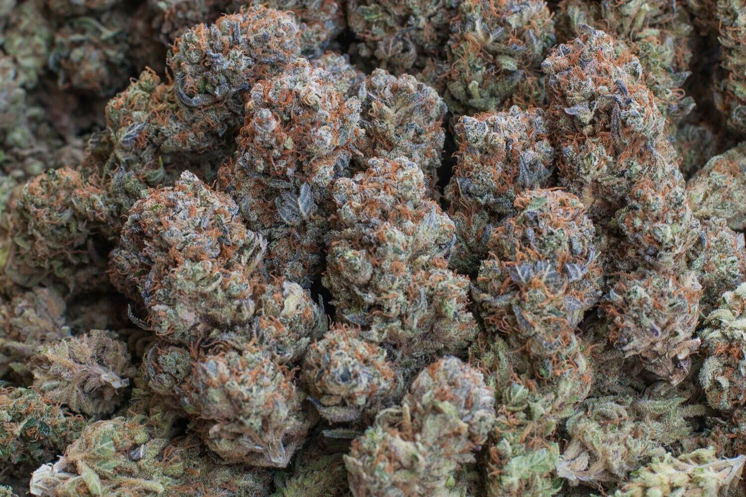 Durban Poison