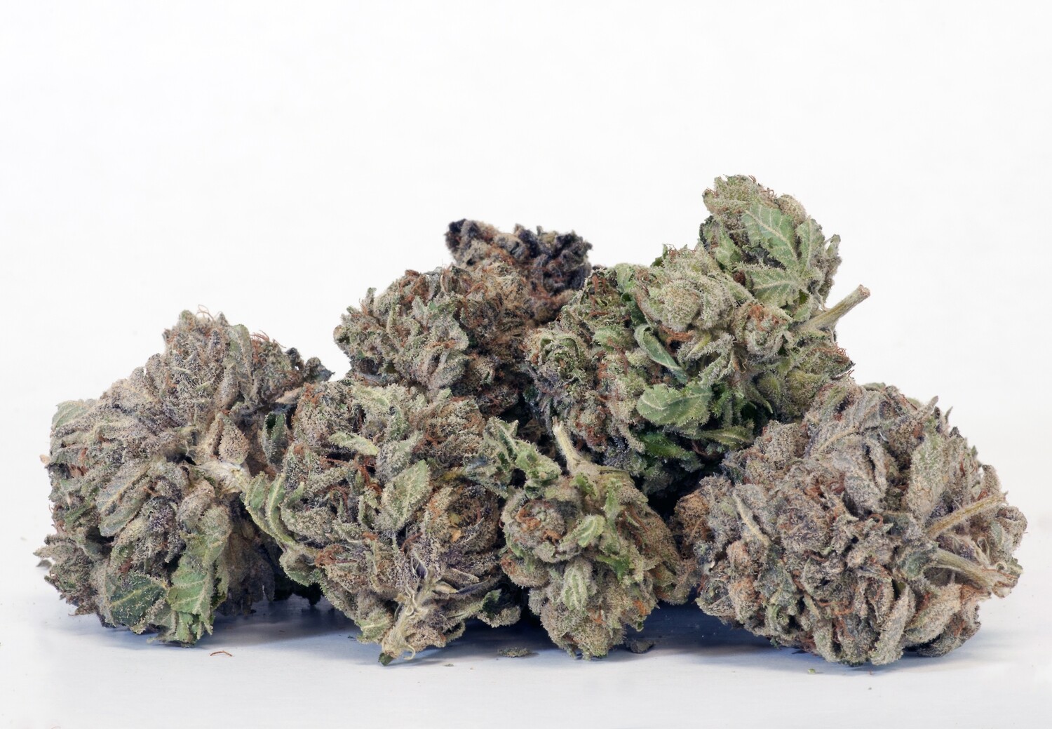 Girl Scout Cookies