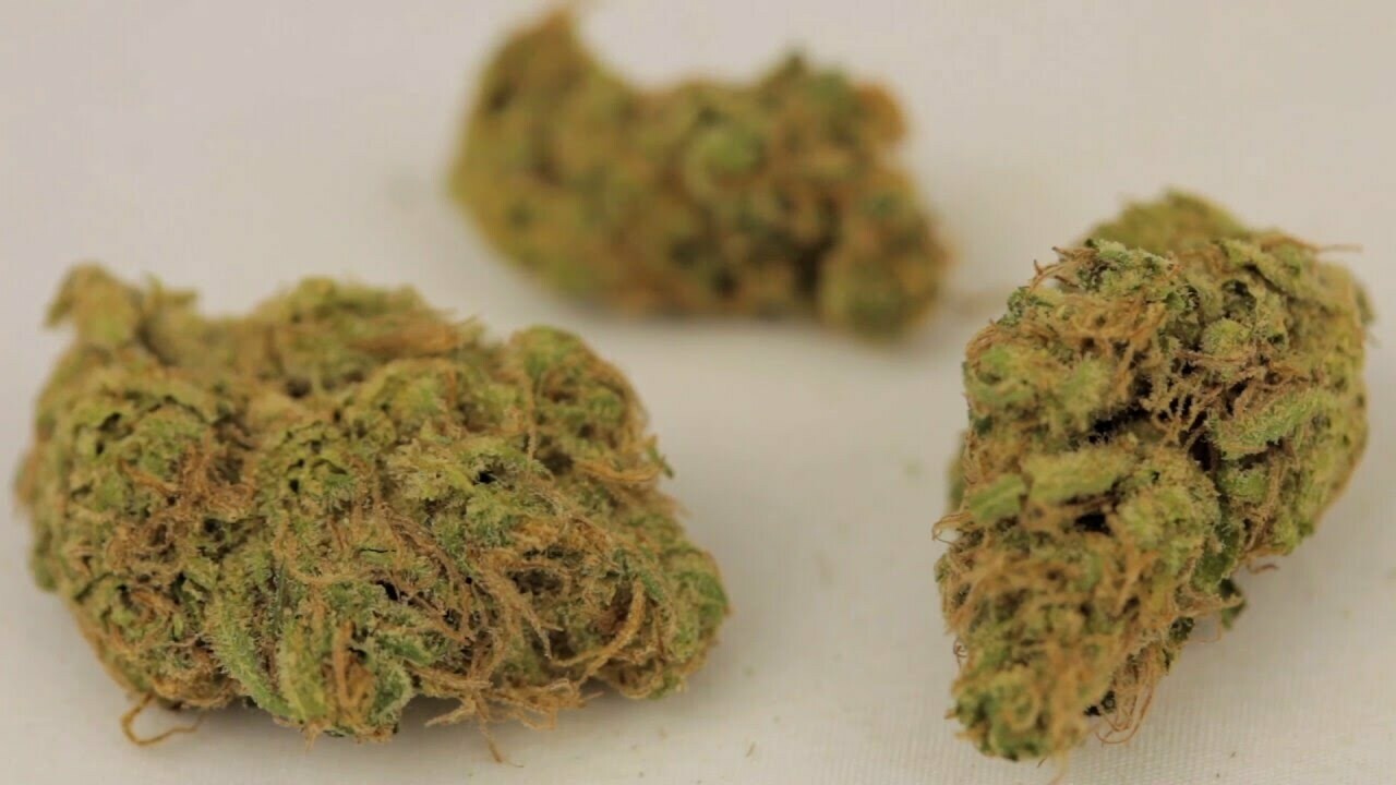Golden Goat