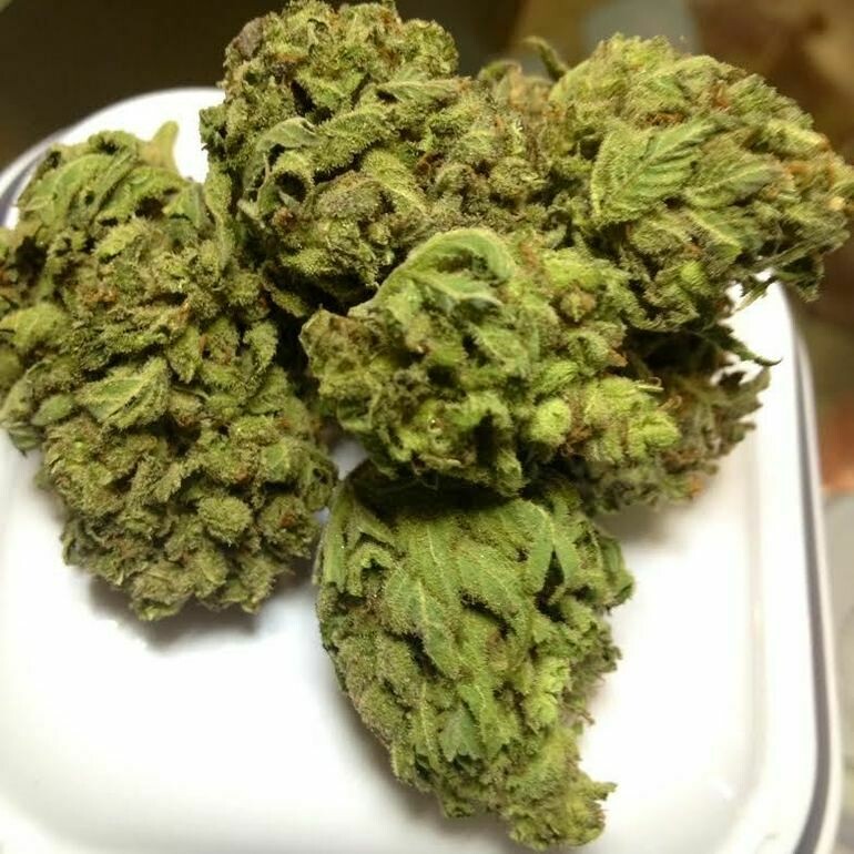 Jack Flash
