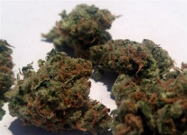 Jack Flash