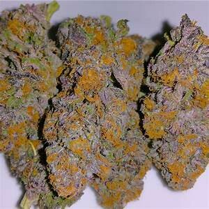 ​Granddaddy Purple