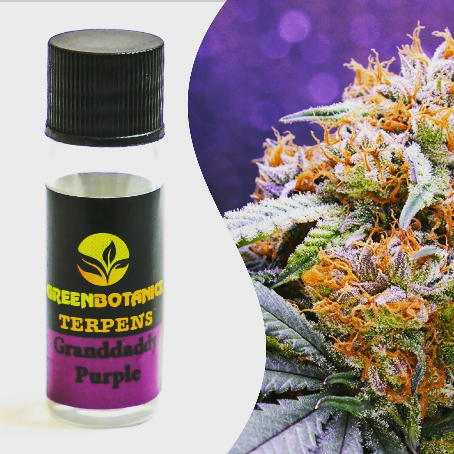 ​Granddaddy Purple