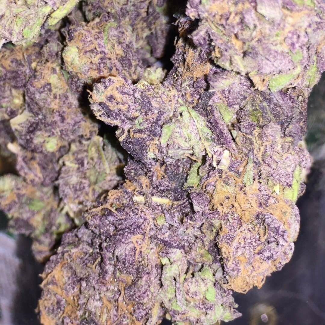 Purple kush