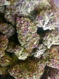 Purple kush