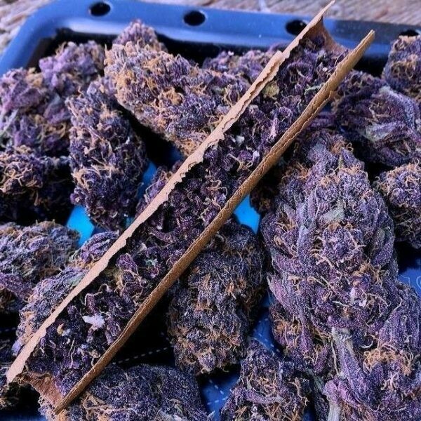 Purple kush