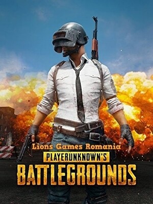 PlayerUnknown&#39;s Battlegrounds Steam Key