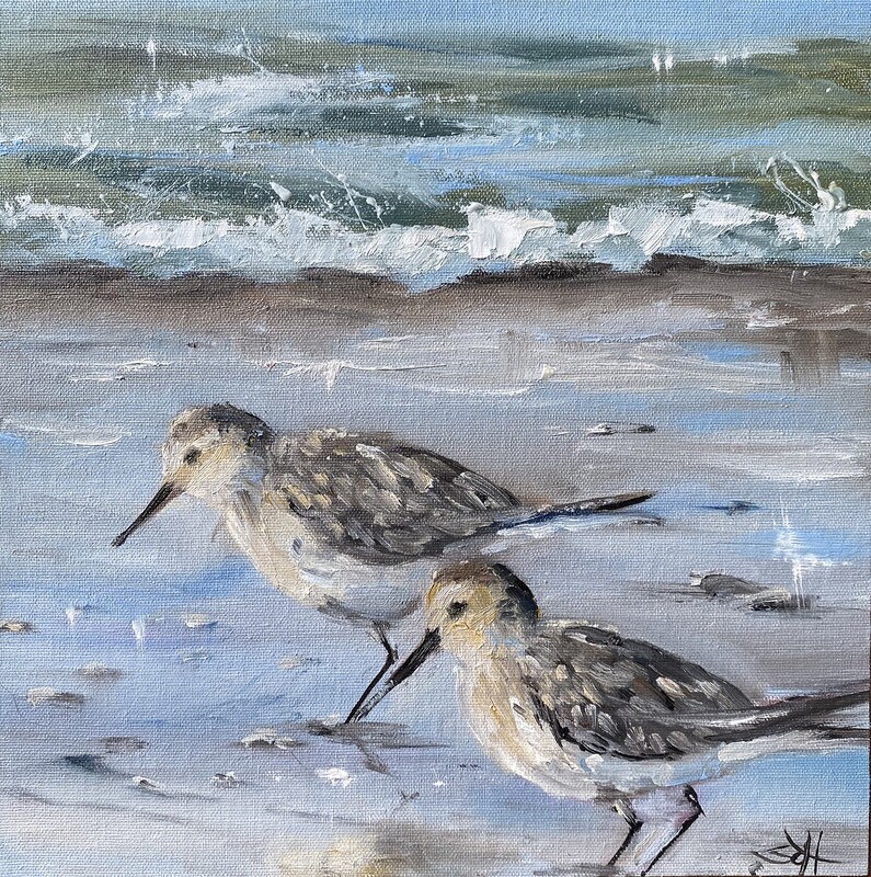 Strandläufer Vogel am Meer Bild 20x20 cm Strandläufer Vogel am Meer Bild 20x20 cm