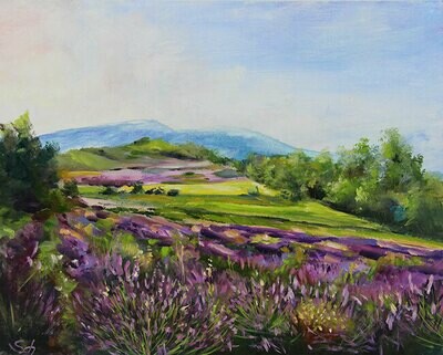 Bild Lavendelfelder Landschaft 24×30 cm