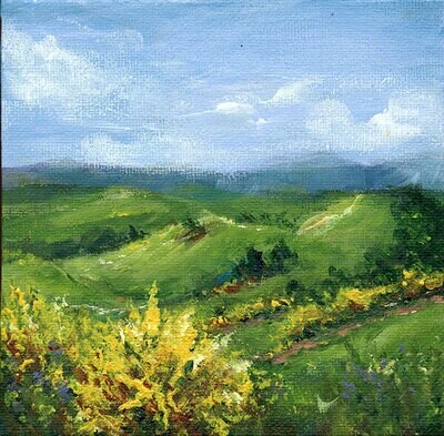 Bild Eifel Landschaft mit Ginster 15x15 cm