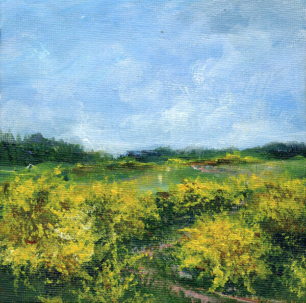 Bild Eifel Landschaft mit Ginster 15x15 cm Bild Eifel Landschaft mit Ginster 15x15 cm