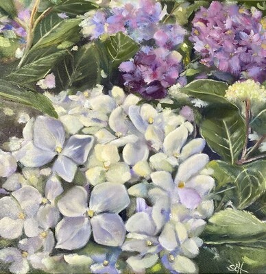 Bild Hortensien Original Blumenbild 30x30 cm