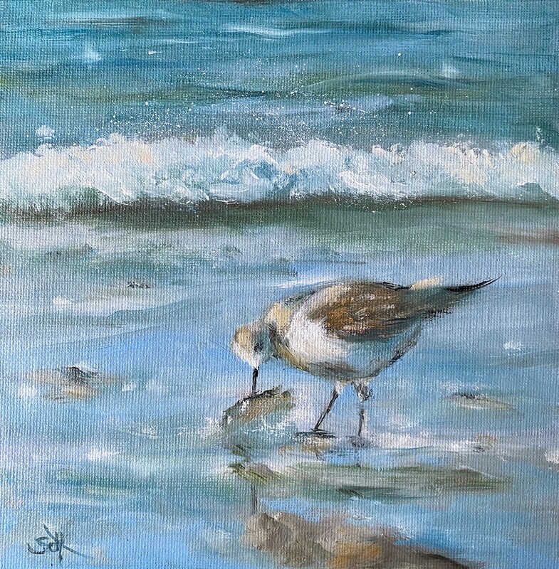 Strandläufer Vogel am Meer Bild 20x20 cm