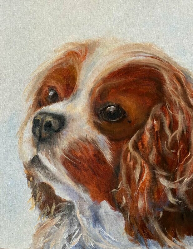 Cavalier King Charles Spaniel Cavalier King Charles Spaniel "Orlando" Bild 24x30 cm
