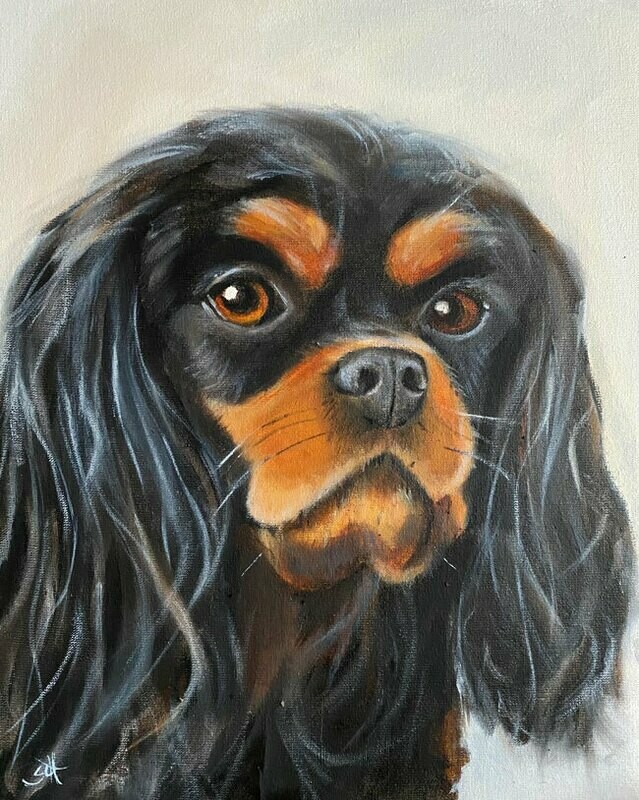 Cavalier King Charles Spaniel Black & Tan Bild 24x30 cm Cavalier King Charles Spaniel Black & Tan Bild 24x30 cm