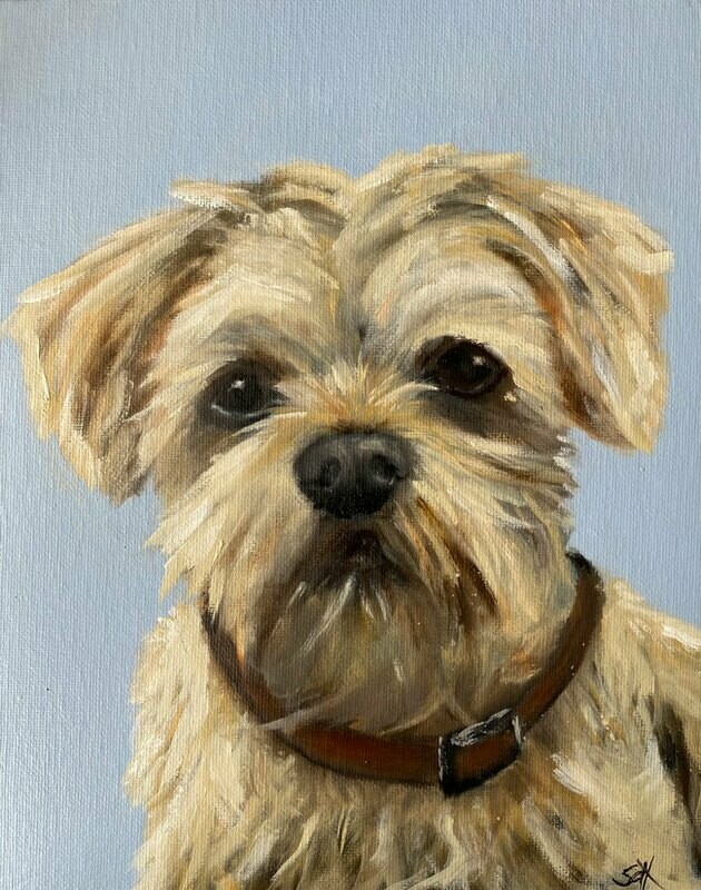 Shorkie Shorkie "Simba" Bild 24x30 cm