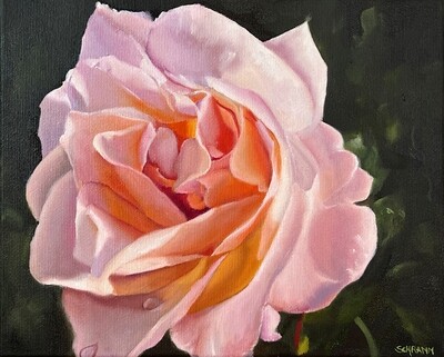 Bild Rose Original Blüte Rosenblüte 24x30 cm