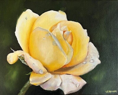 Bild gelbe Rose Original Blüte Blumenbild 24x30 cm