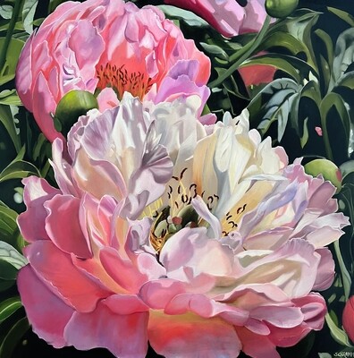 Bild Rose Pfingstrosen Original Blüte Blumenbild 80x80 cm