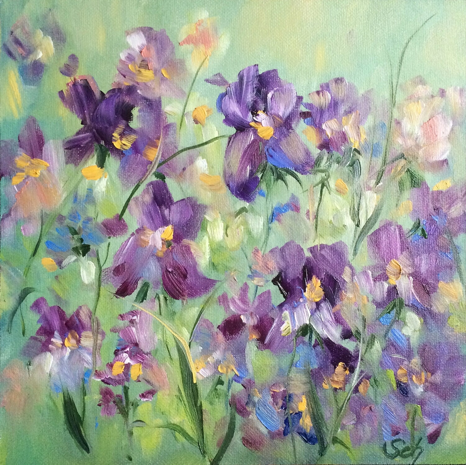 Iris Blumenbild Original Blumenwiese 20x20 cm Iris Blumenbild Original Blumenwiese 20x20 cm