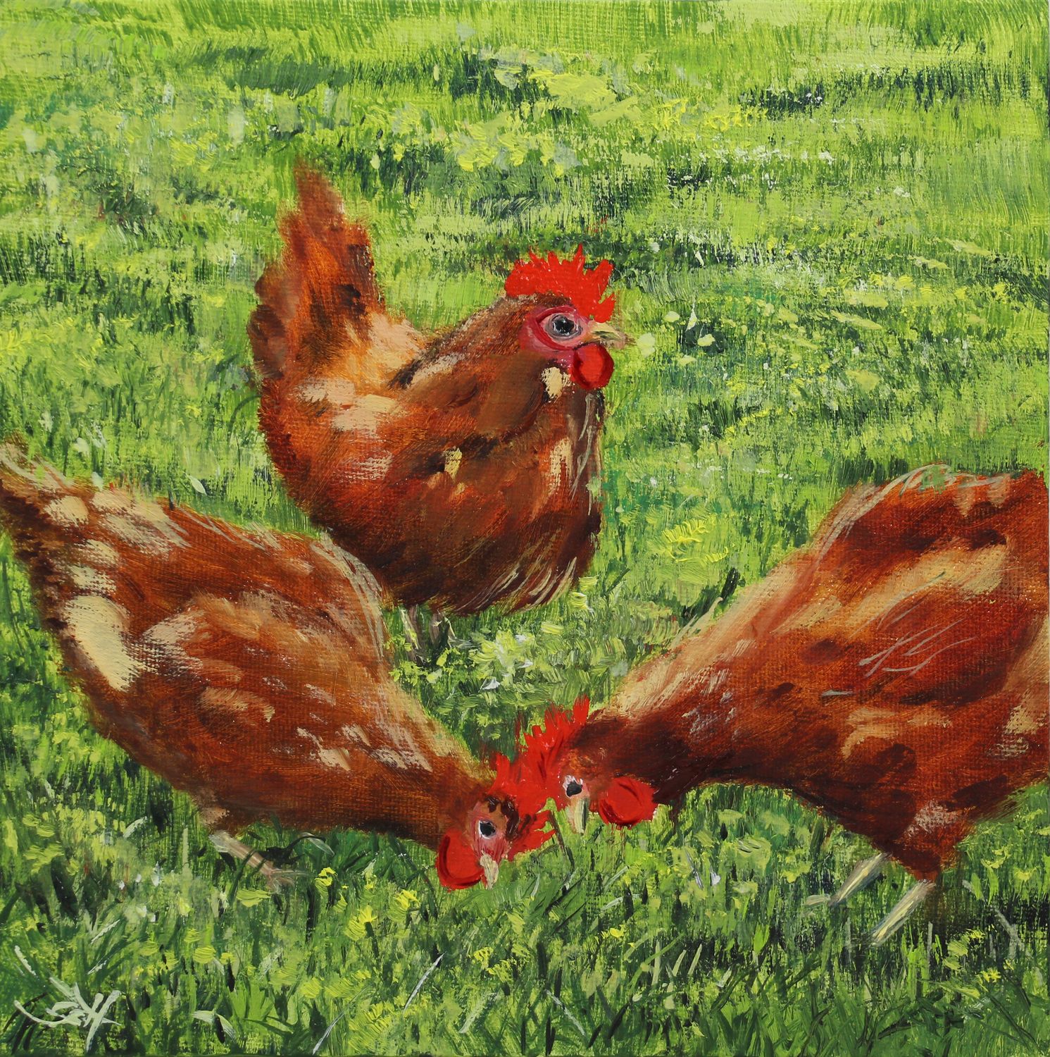 Hühner Original Gemälde Bild 20x20 cm