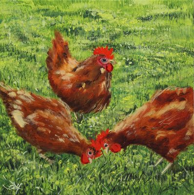 Hühner Original Gemälde Bild 20x20 cm