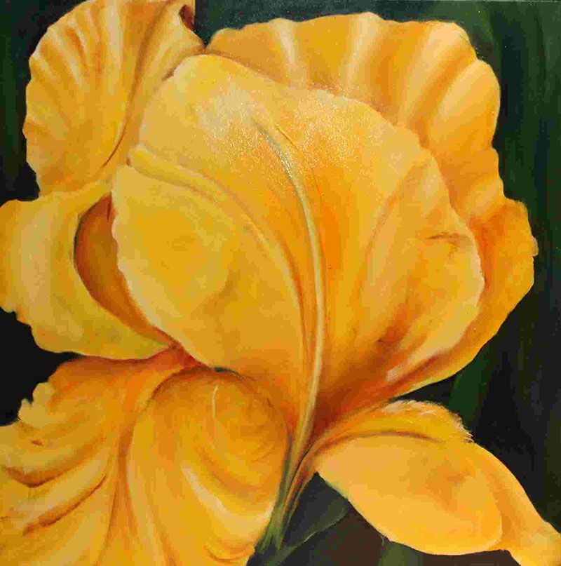 Gelbe Iris Original Gemälde Blumenbild 60x60 cm