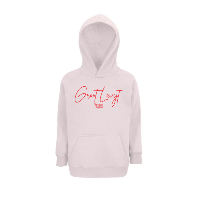 Groot Lawijt - Kid Hoodie