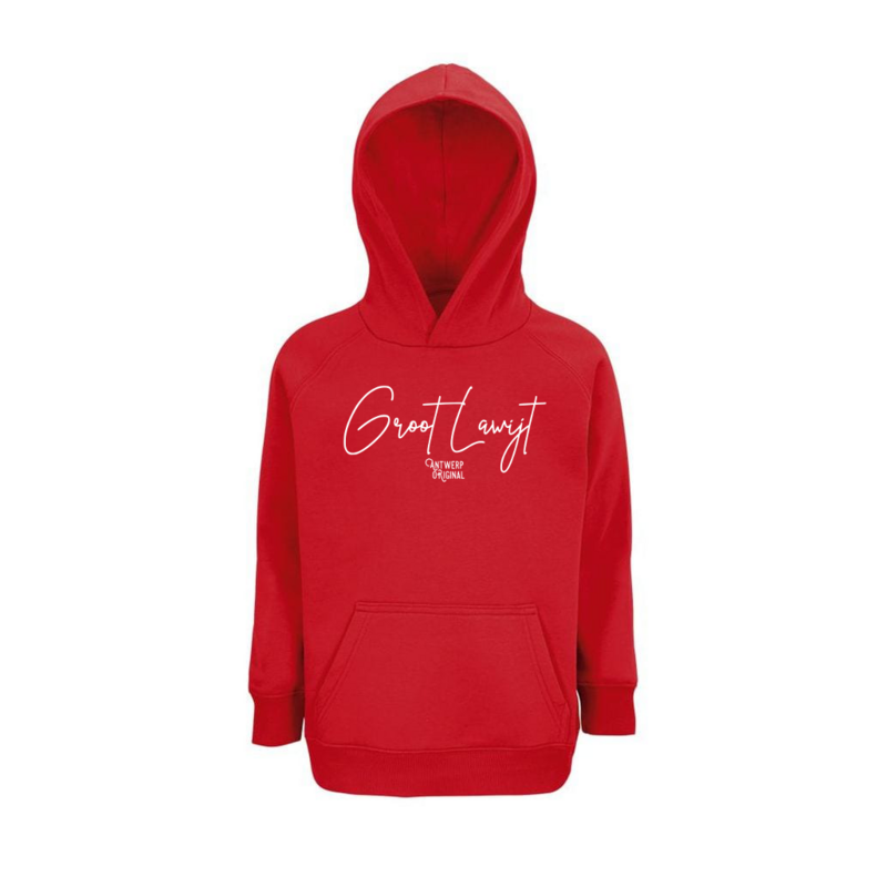 Groot Lawijt - Kid Hoodie
