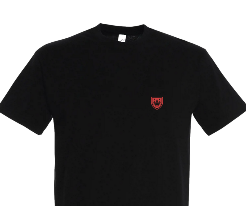 Het Steen/Wapenschild - Iconen TShirt