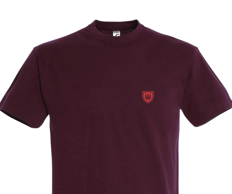 Het Steen/Wapenschild - Iconen TShirt